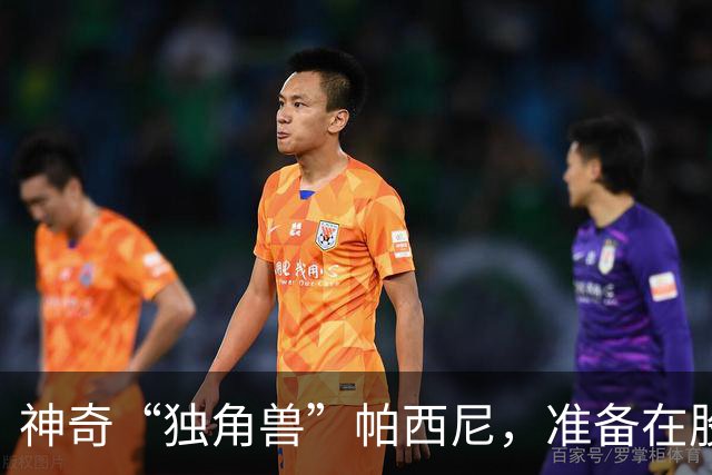 神奇“独角兽”帕西尼，准备在股市大舞台上翩翩起舞！